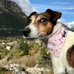 Bandana reversibile "la vie en rose" liberty/rosa