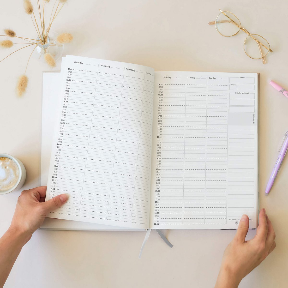 Prikkelarme planner Vlinder - Medium / A5+ ongedateerd