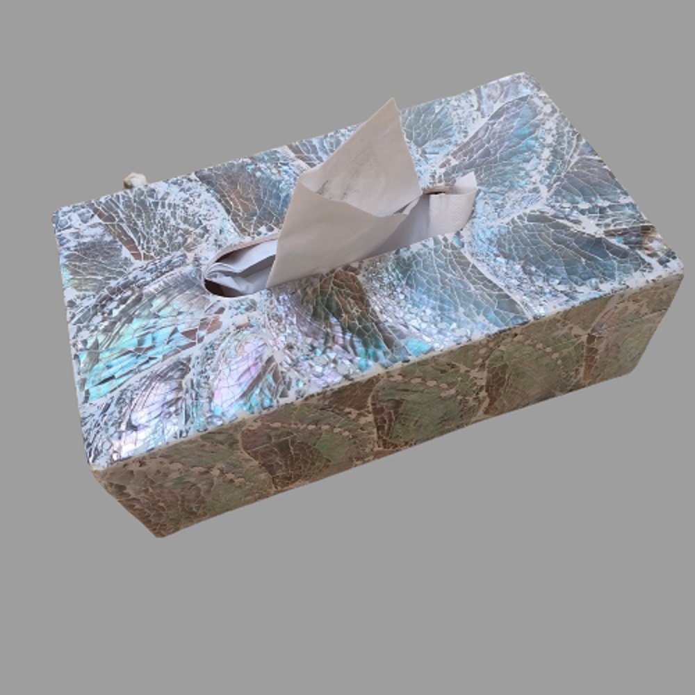Tissuebox Abalone Licht