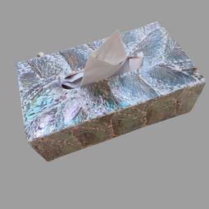 Tissue box Abalone Light