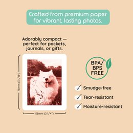 Model P2 Print Pack｜40 Prints