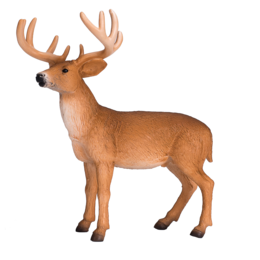 Mojo Woodland Toys White -tail Dhert Bok - 387038