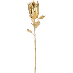 Protea Tokio, 1 flower, L73cm, gold