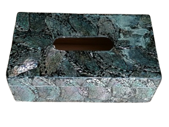 Taschentuchbox Abalone