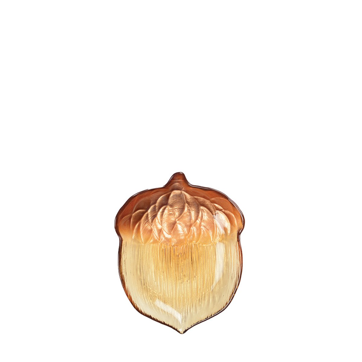 Hasselnut Cup lille model Amber Color 16x21.6x3.4cm