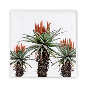 Gesichtsflanell in Aloe Trio