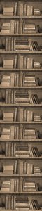 Sepia Bookshelf Wallpaper