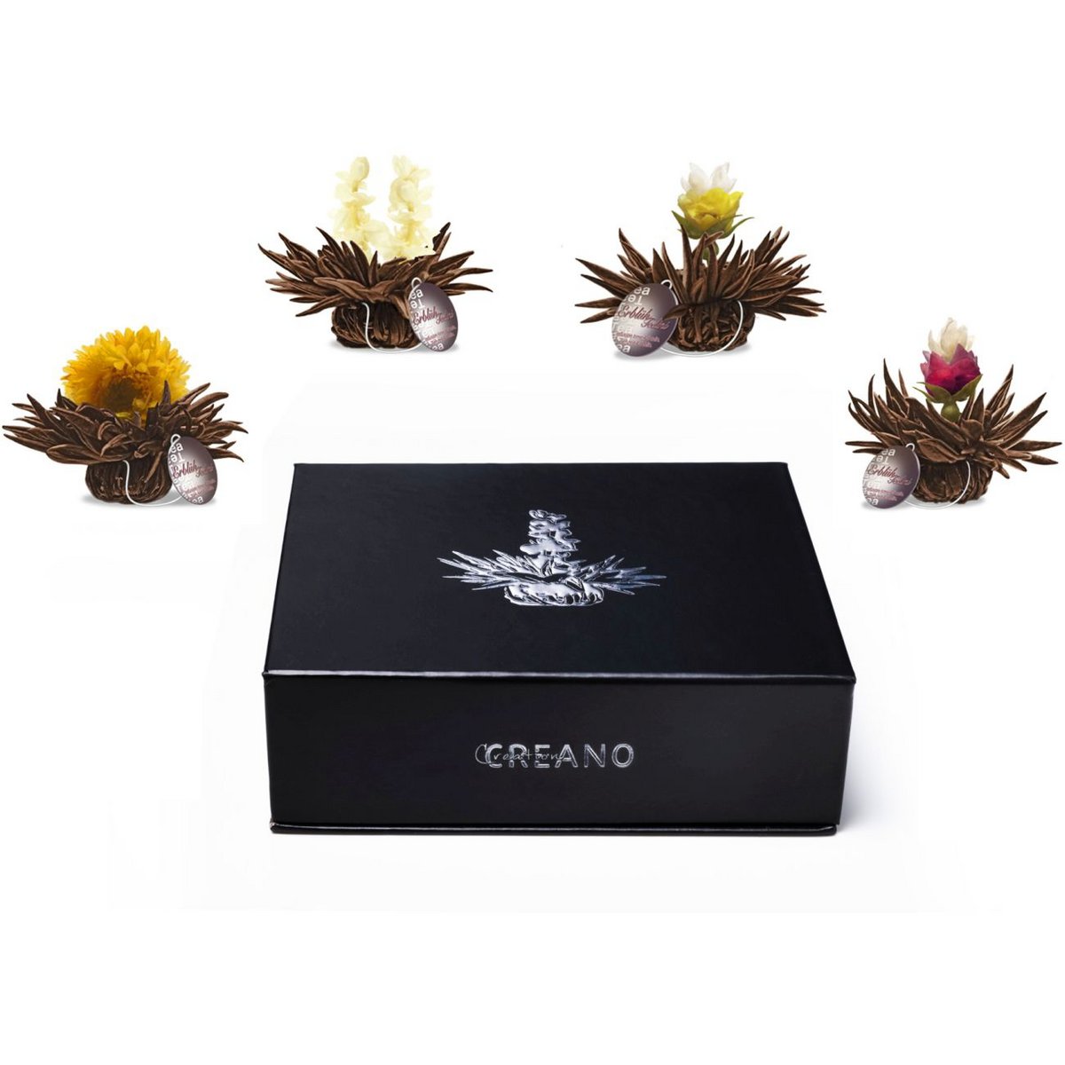 Magnetbox 6er Set ErblühTeelini Schwarztee