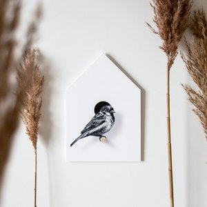 Vogelhuismus