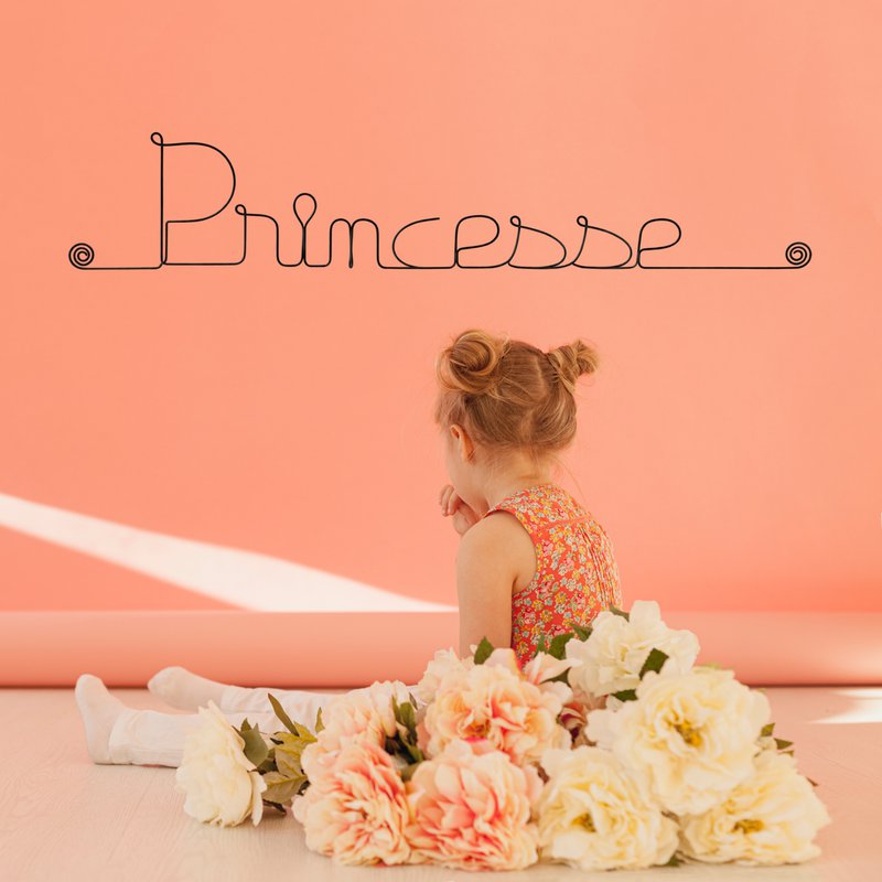 Décoration Murale en Fil de Fer "Princesse" - à punaiser - Bijoux de Mur - Chambre Enfant/Ado