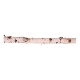Tronc de bouleau - 100x6cm
