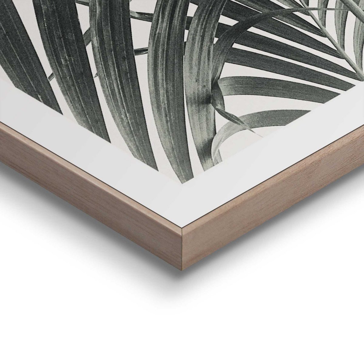 Tableau Slim Frame Feuilles de Palmier 40x30