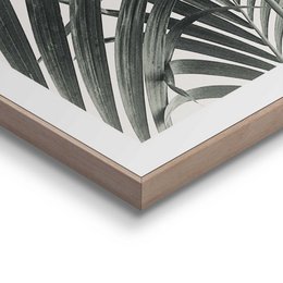 Gerahmtes Bild Slim Frame Palmenblätter 40x30