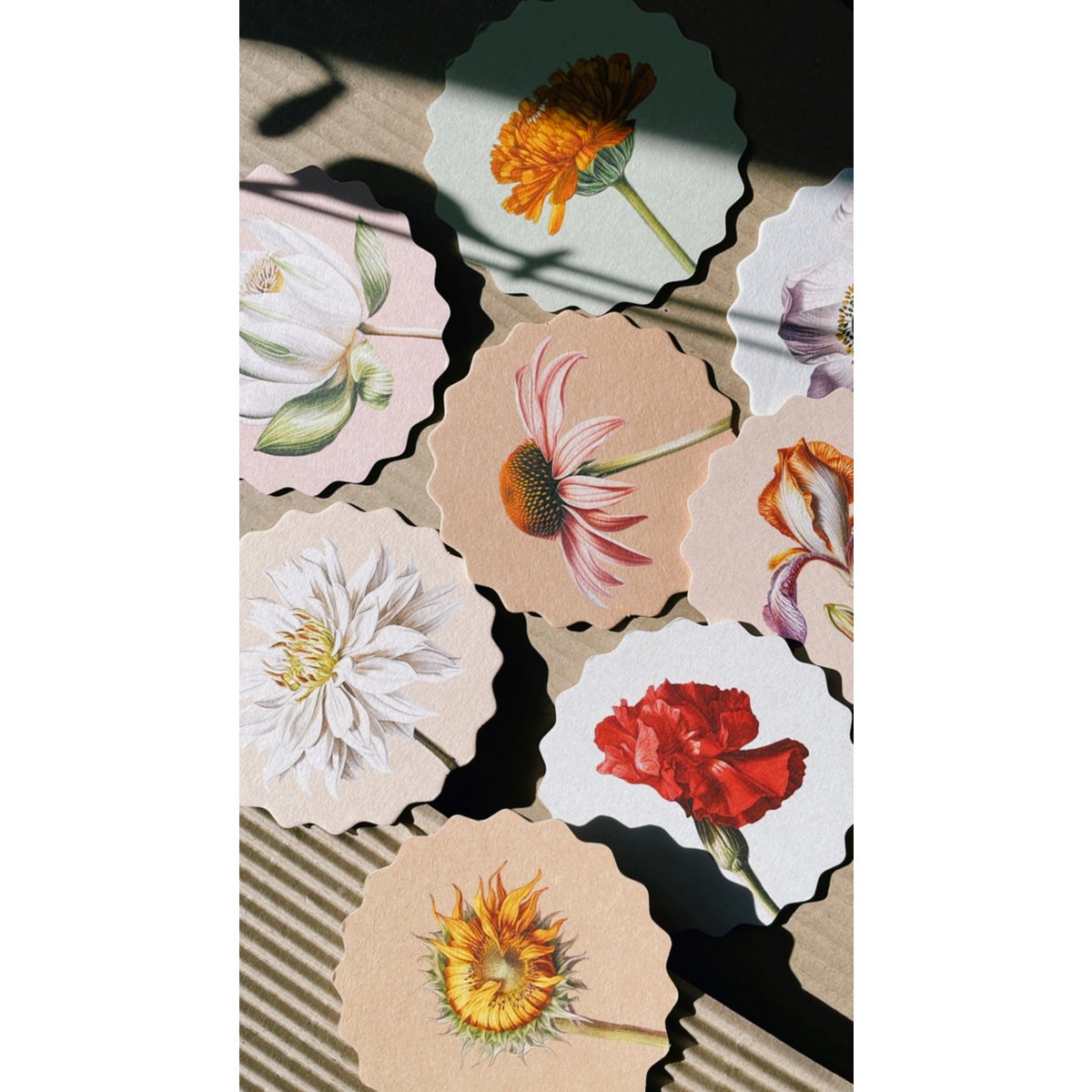 Sous-verres 10 motifs fleurs - 12 sets