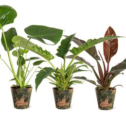 Tropical Mix i Green Jewel cover p14