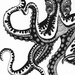 Pulpo