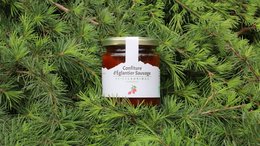 ABIES LAGRIMUS