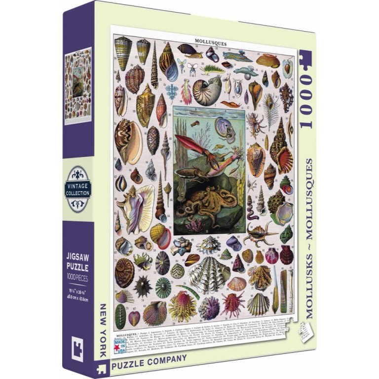 New York Puzzle Company Puzzle Mollusks - 1000 pieces