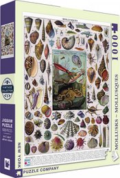 New York Puzzle Company Puzzle Mollusks - 1000 pieces