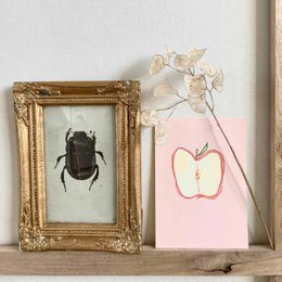 Conjunto de tarjetas | Fresco y afrutado