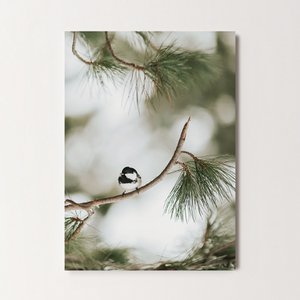 Postkarte Grußkarte Tannenmeise (PK_104) 