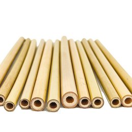 6 Bamboo Straws l Large model