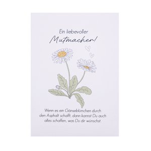 Daisy seeds - a loving encouragement for you!