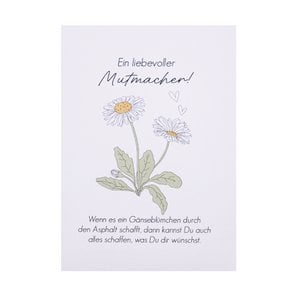 Daisy seeds - a loving encouragement for you!
