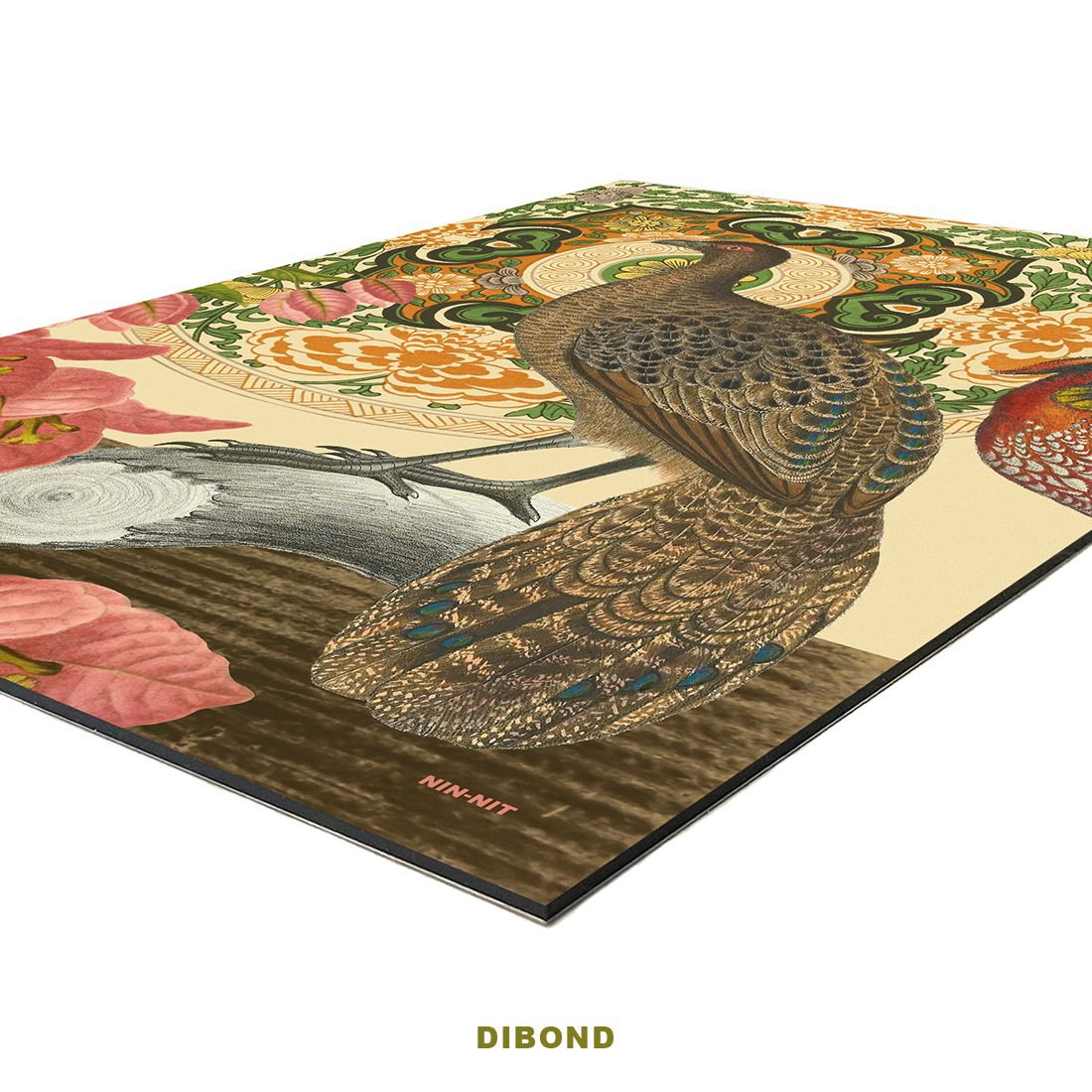Wall Art | Charming Peacock