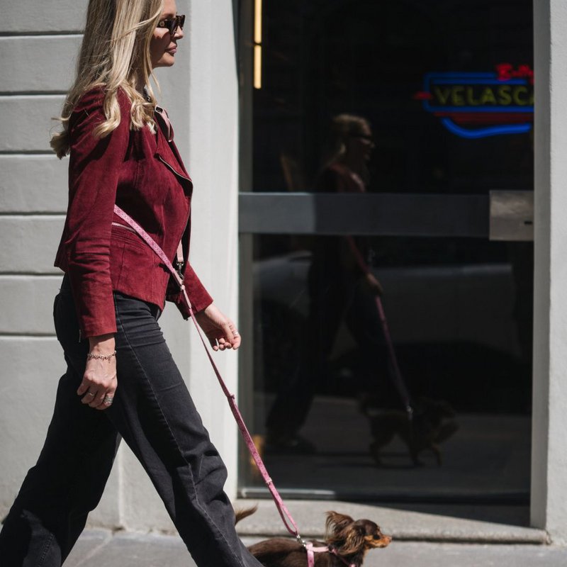 Multifunction Dog Leash - Sicily