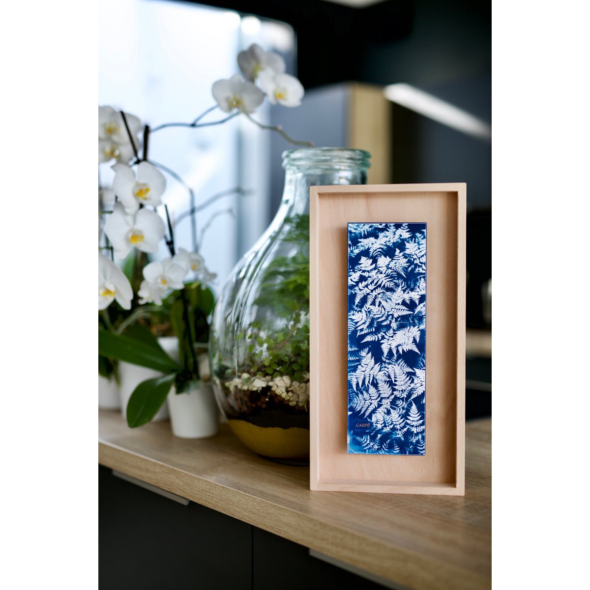 Cyanotype Ferns