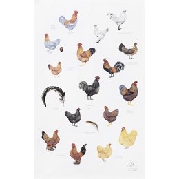 Organic tea towel - Chickens