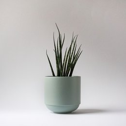 Bowl with lid MoxBowl Mathilde - sage green - 500ml
