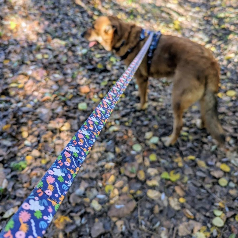 Dyb agua hundesnor