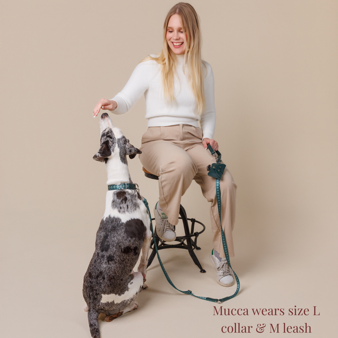 Multifunction Dog Leash - Forest Gems
