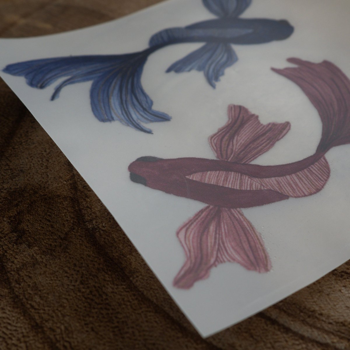 Iron-on picture »Fishes«