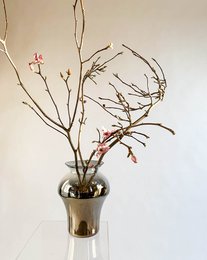 Waza trofeum króla