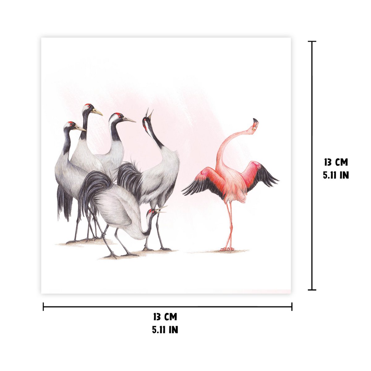 Flamingo & Cranes - Greeting Card, 13 x 13 cm, Birds, Cards
