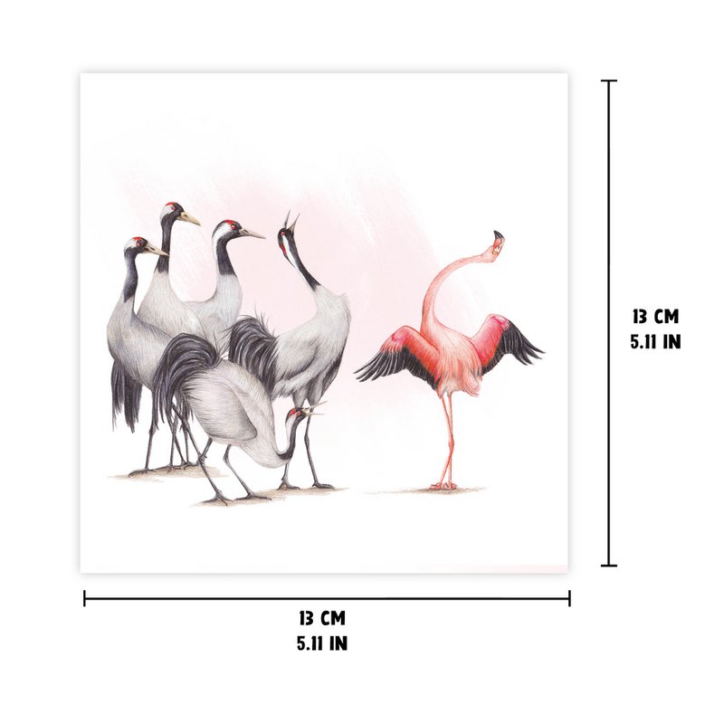 Flamingo & Cranes - Greeting Card, 13 x 13 cm, Birds, Cards