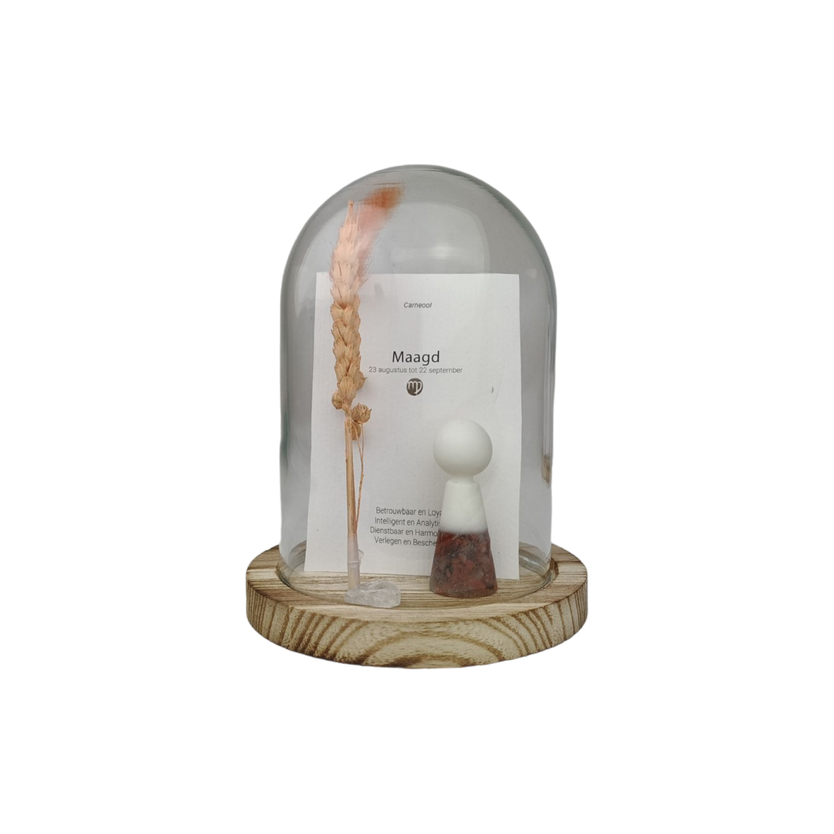 Gempops Horoscoop