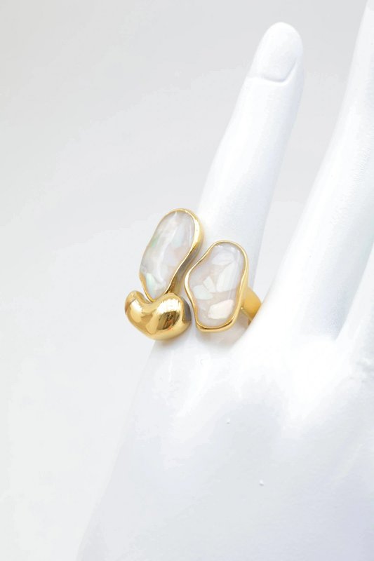 Bagues en acier inoxydable