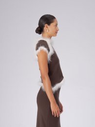 Bruine balans veren top