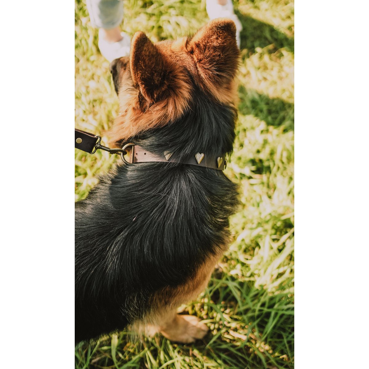 Obroża dla psa z miękkiej skóry od marki Fluffy Puppy, ozdobne nity do wyboru, Hand Made!