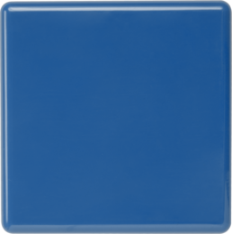 Collezione di coriandoli CK-Bloom6