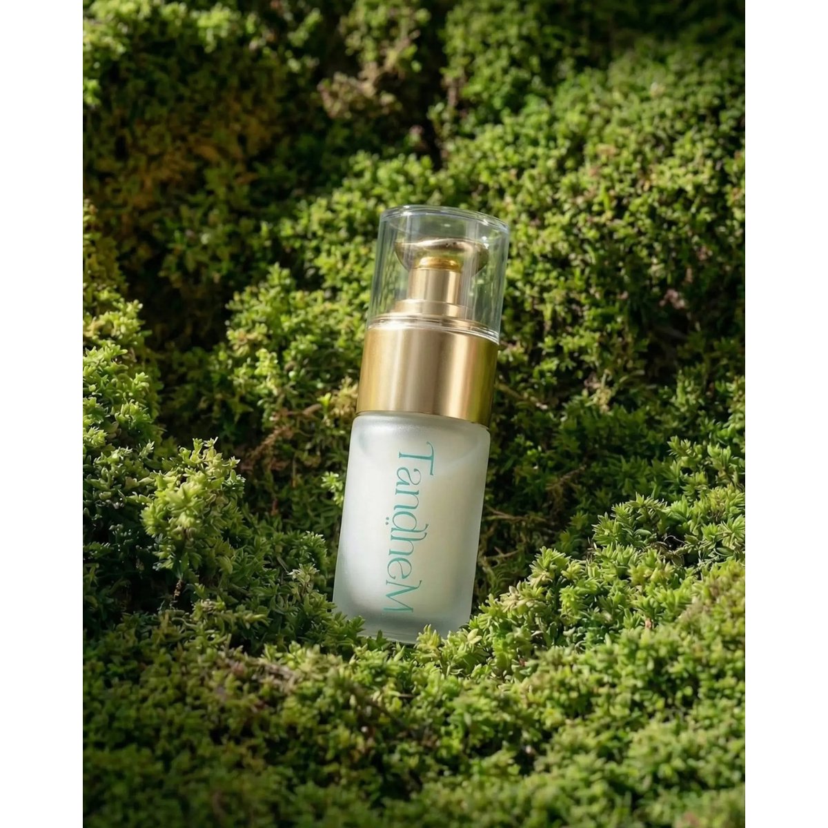 Contorno de Ojos Botánico Activo (15ml)