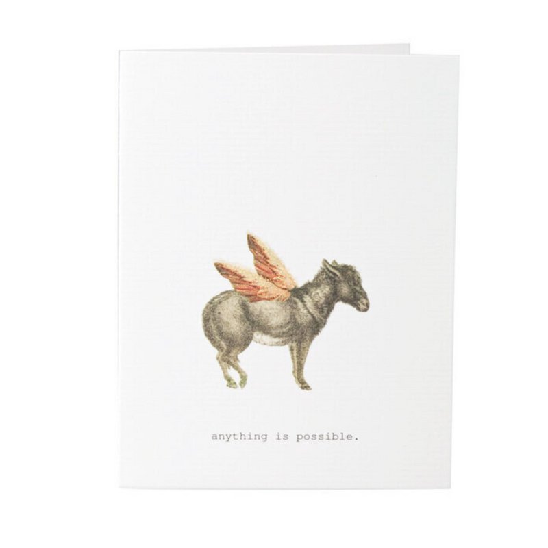 Anything is Possible Greeting Card
