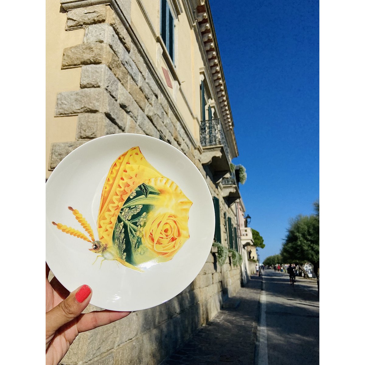 La dolce vita di una farfalla - Piatti Fondi