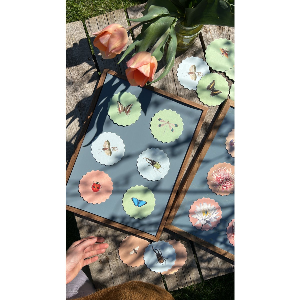 Coasters 10 motiver insekter - 12 sæt