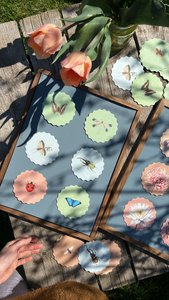Untersetzer/Coaster 10 Motive Insekten - 12 Sets