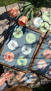 Untersetzer/Coaster 10 Motive Insekten - 12 Sets